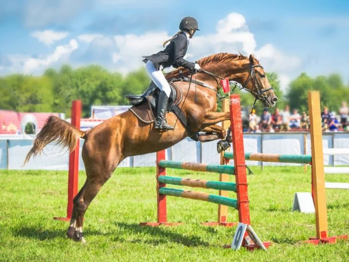 الرباط…انطلاق منافسات القفز على الحواجز أربع نجوم للحرس الملكي