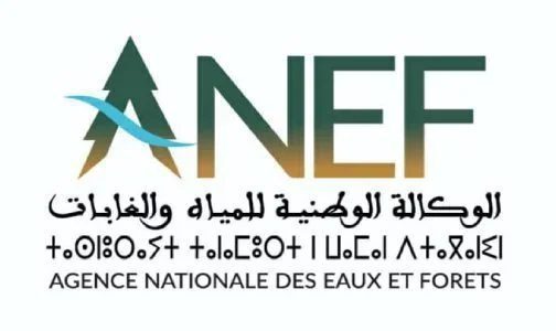 الوكالة الوطنية للمياه والغابات تنفي وجود مرض وبائي يصيب الأركان باشتوكة أيت باها