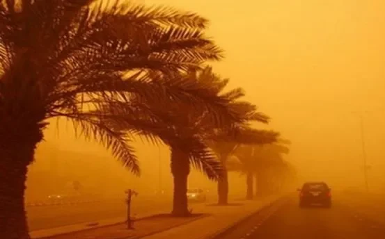 طقس حار ورياح قوية اليوم الجمعة