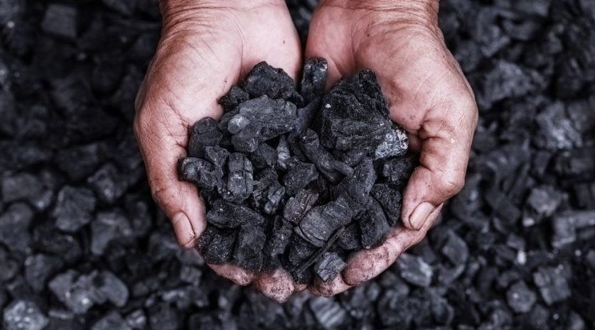 ارتفاع أسعار الفحم قبيل عيد الأضحى