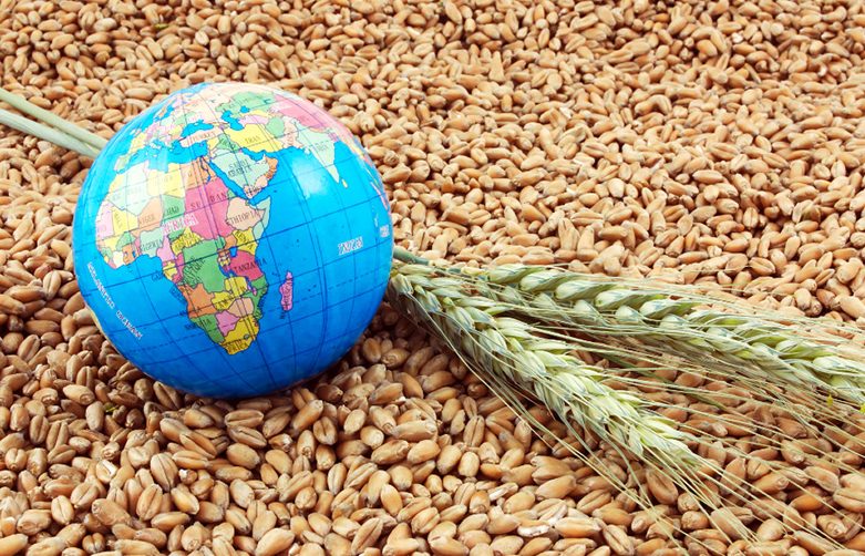 غوتيريش: النزاعات السبب الرئيسي لانعدام الأمن الغذائي