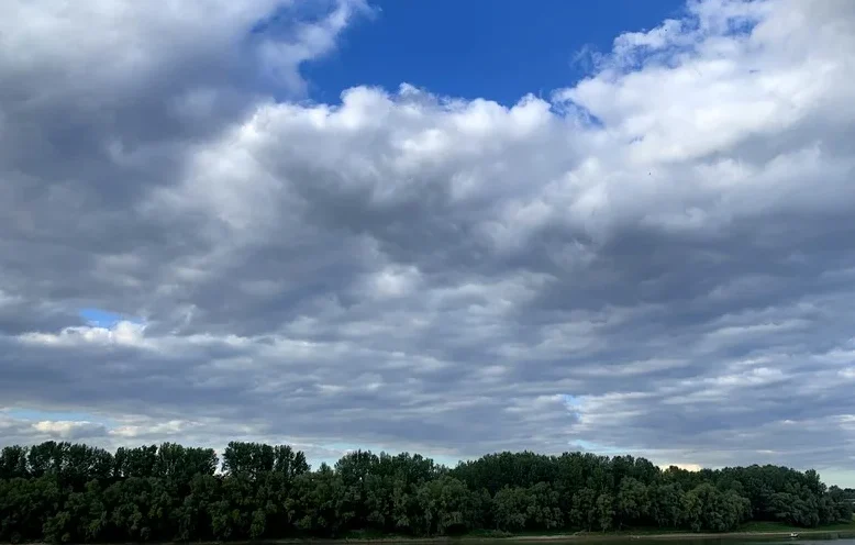 طقس اليوم… سحب وضباب وزخات رعدية