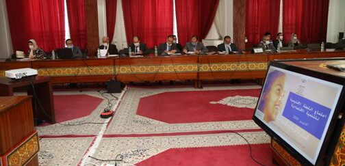 تاونات:اجتماع اللجنة الاقليمية للتنمية الاقتصادية حول ادماج الشباب