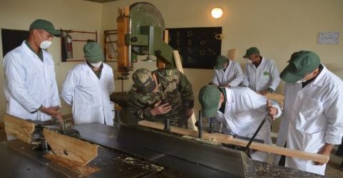 بويزكارن.. المجندون بتجريدة الخدمة العسكرية السابعة والثلاثين يتابعون مرحلة التخصص في عدة مجالات