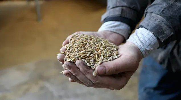 السيادة الغذائية بين التحديات والخيارات الاستراتيجية