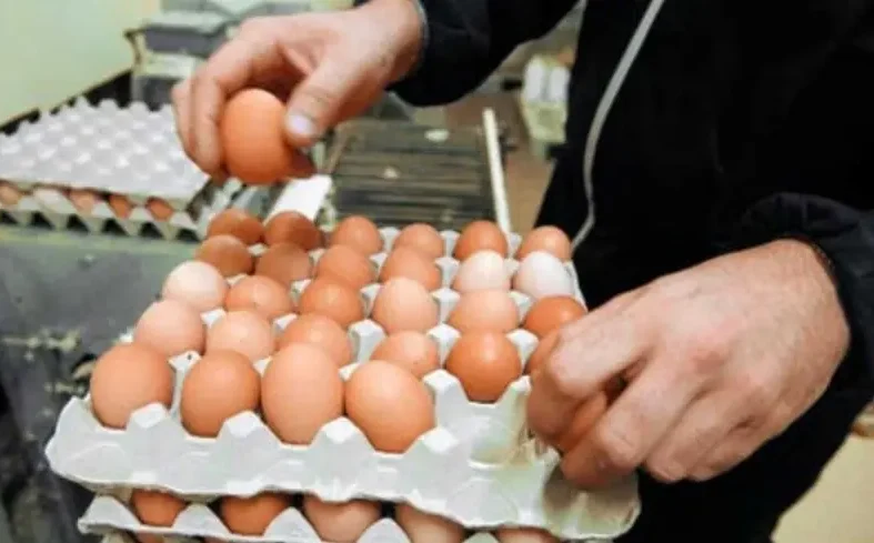 انخفاض أسعار البيض إلى أقل من درهم