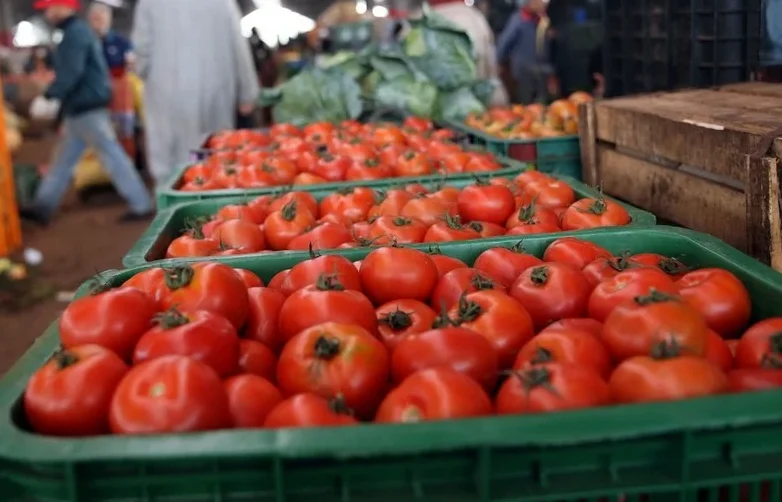 جدل حول وقف تصدير الطماطم بين المصدرين والمستهلكين