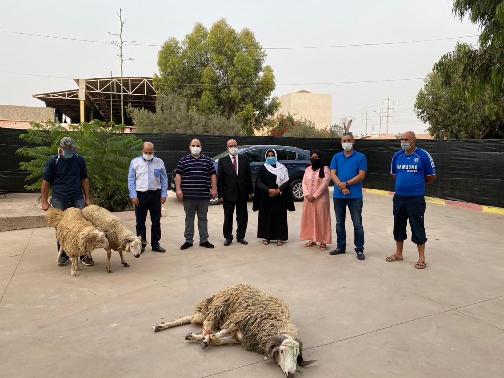 المكتب الجهوي للوداددية الحسنية للقضاة بأكادير يوزع مجموعة من الاضاحي على نزلاء دار الراحة للمسنين باكادير ومركزي حماية الطفولة بمناسبة عيد الاضحى المبارك