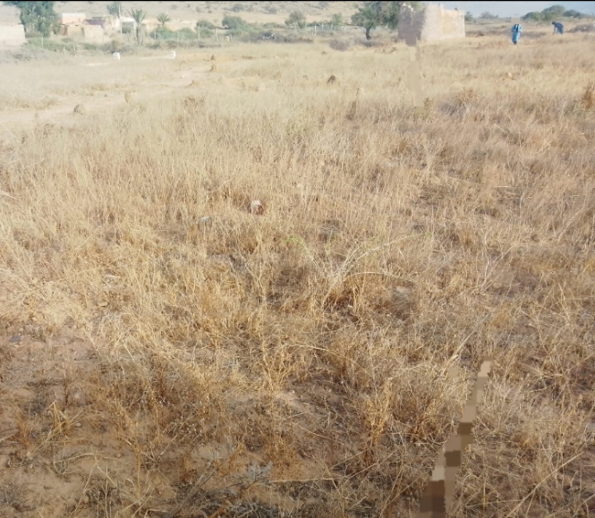 مقبرة فيدود بتنكرفا …حين تختلط حدود القبور بالممرات والحاجة إلى تهيئة تحفظ حرمة الموتى
