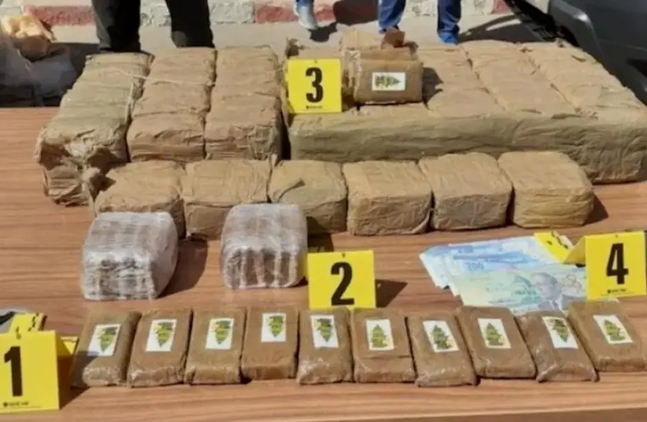 إحباط محاولة تهريب 350 كلغ من الشيرا بميناء طنجة المتوسط