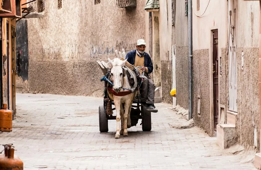 تكريم الفنانين في مهرجان السينما الدولي: إبداعات محلية على الساحة العالمية
