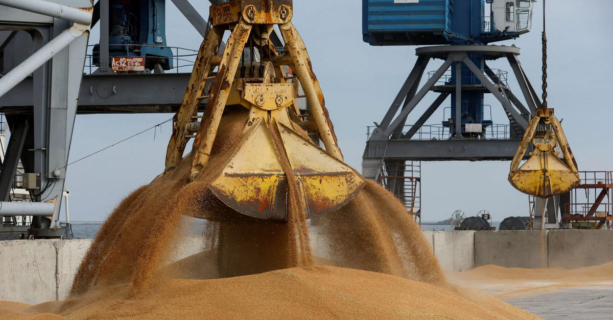 ارتفاع كلفة الشحن يواكب عودة المغرب لاستيراد القمح