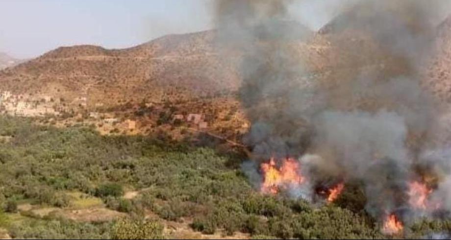 حريق مهول يلتهم واحات أوفوس بالرشيدية