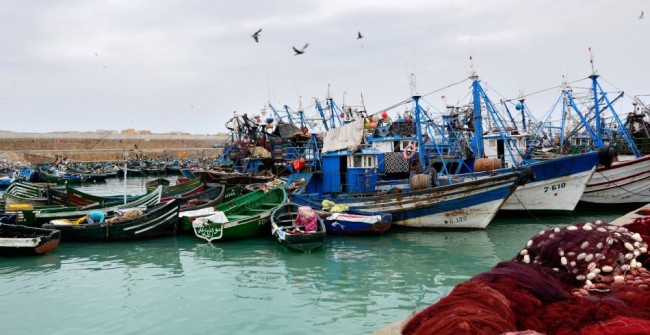 مهنيي الصيد الساحلي بالمغرب يطالبون بتسوية وضعيتهم المهنية.